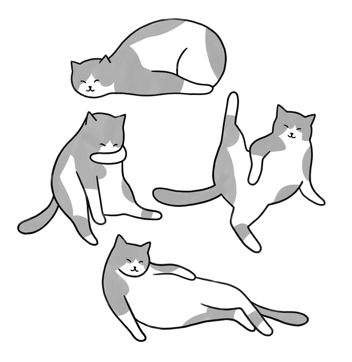 La vie du chat / Carte de voeux