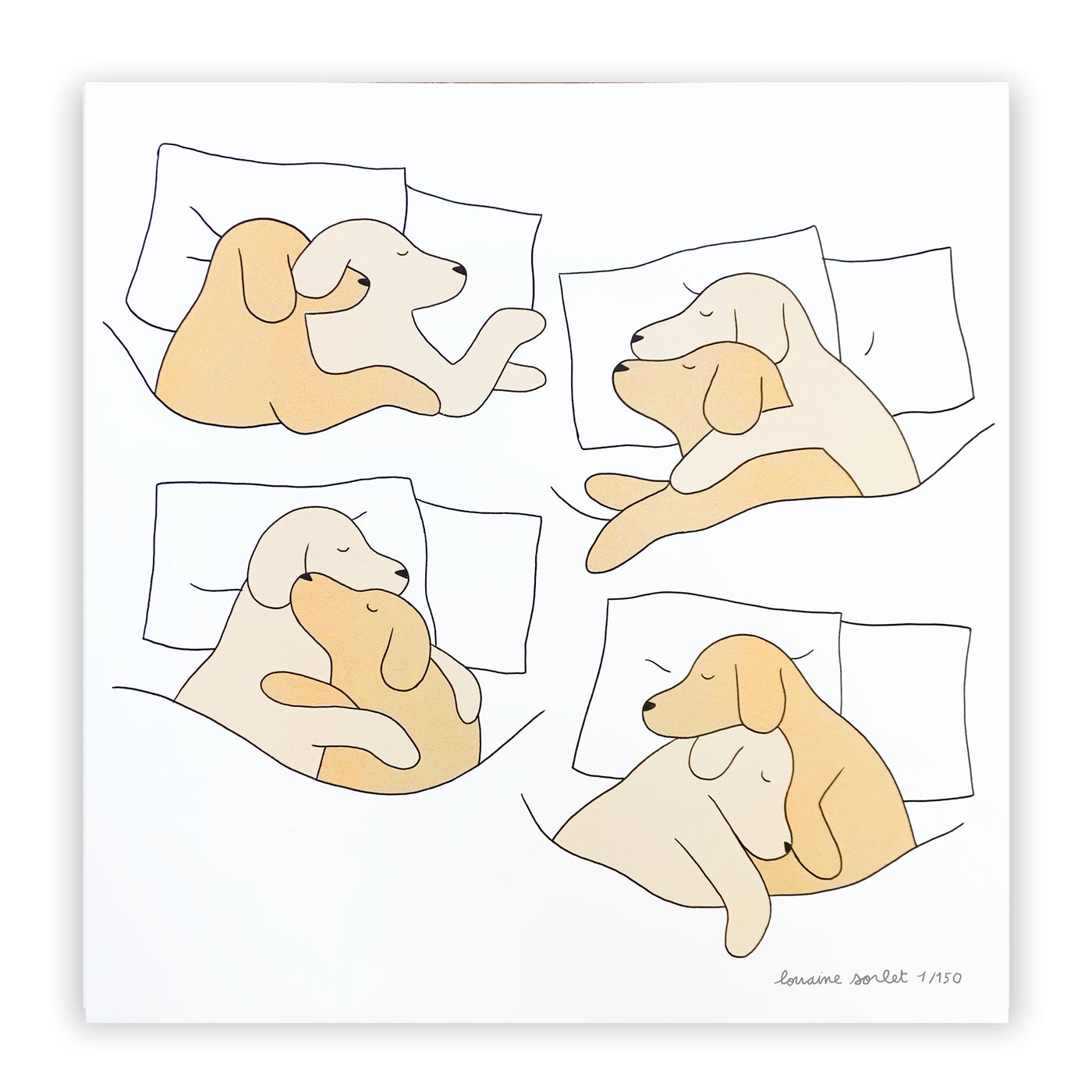 DOGS NAP