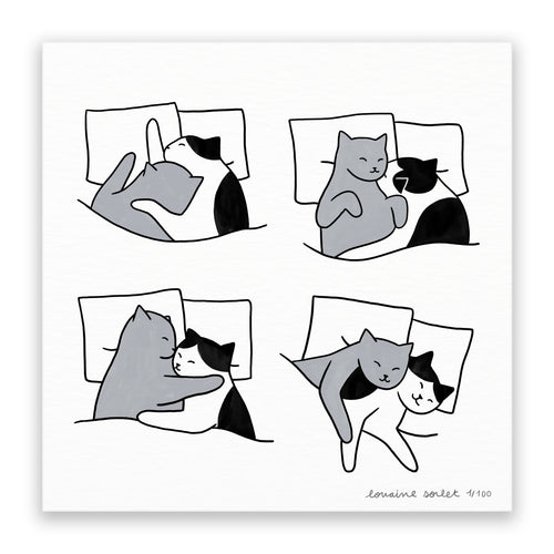 Sleeping Cats